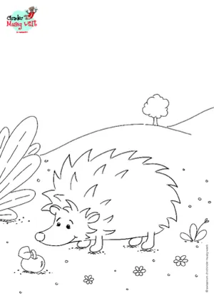 Igel