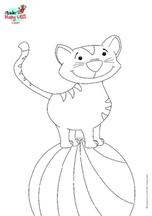 Katze auf Ball
