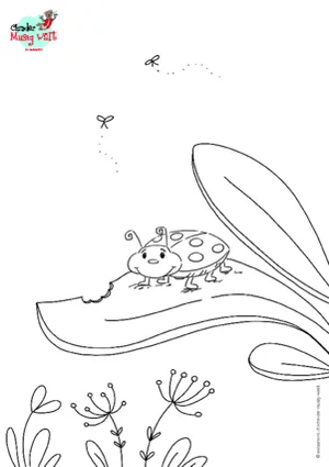 Käfer auf Blatt