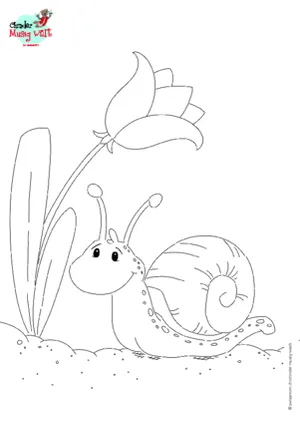 Schnecke mit Blume