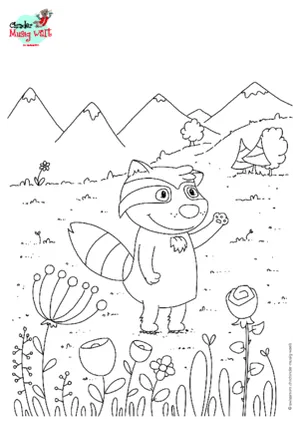 Waschbär